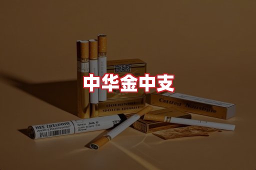中华金中支